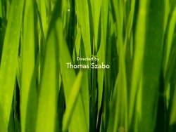 خیلی خیلی کوچک (1) (کریسمس فرا می رسد)